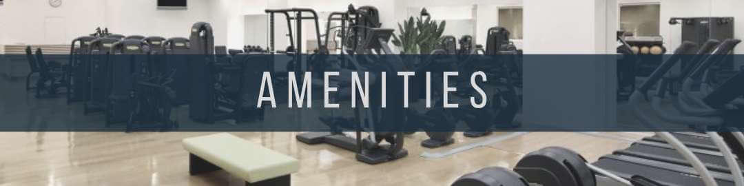 Camella Subic Amenities